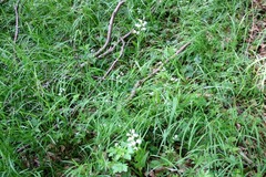 Killikus&reg; Fotographie